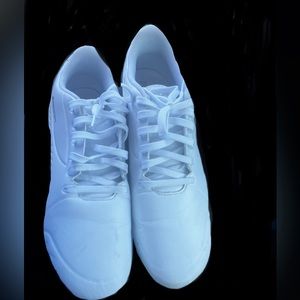 Men’s puma cart, BMW, series shoes